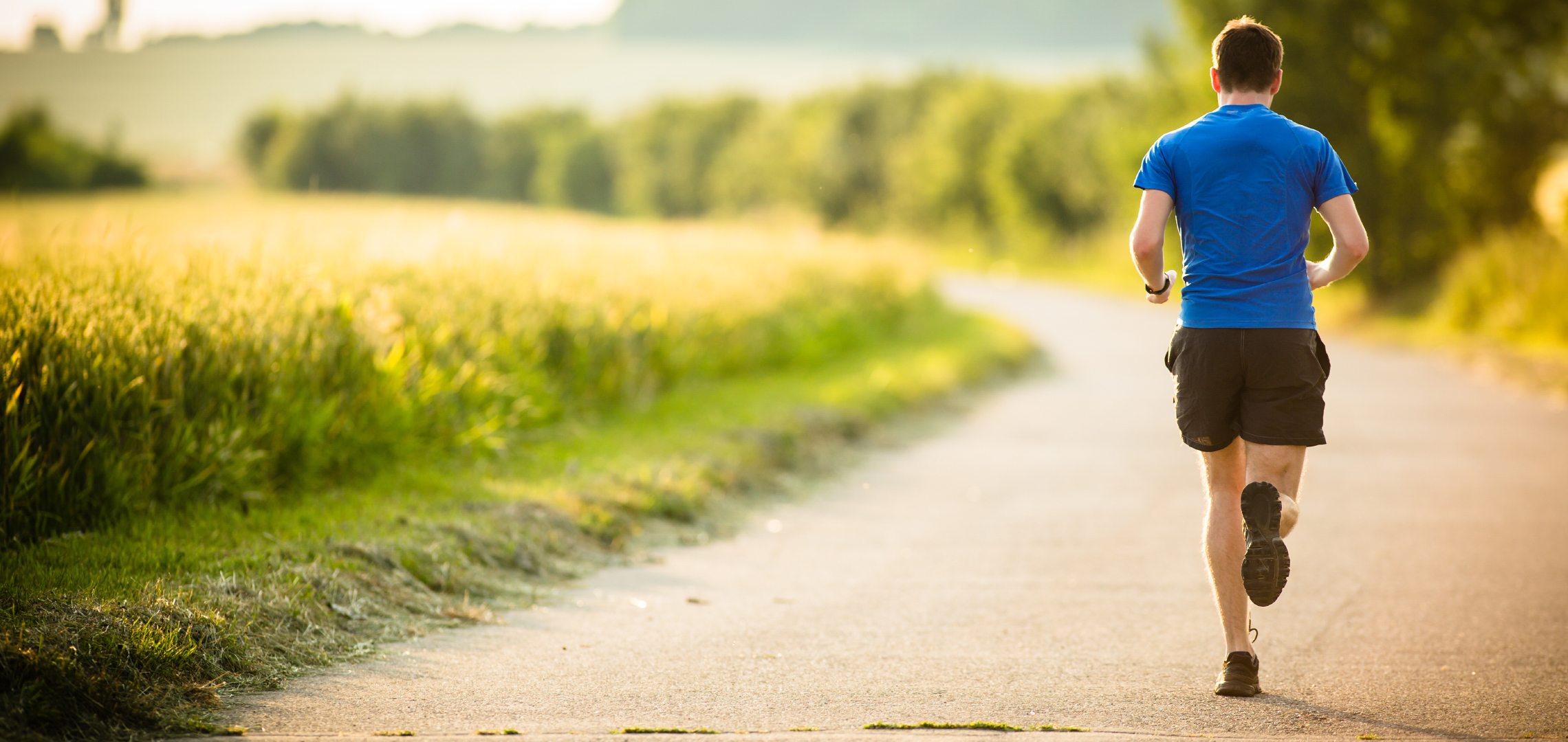 Spor Bilimleri Nedir?